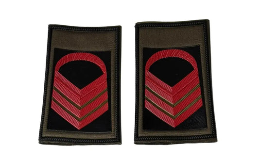 Gradi da Primo Graduato