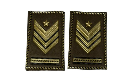 Gradi da Sergente Maggiore Aiutante