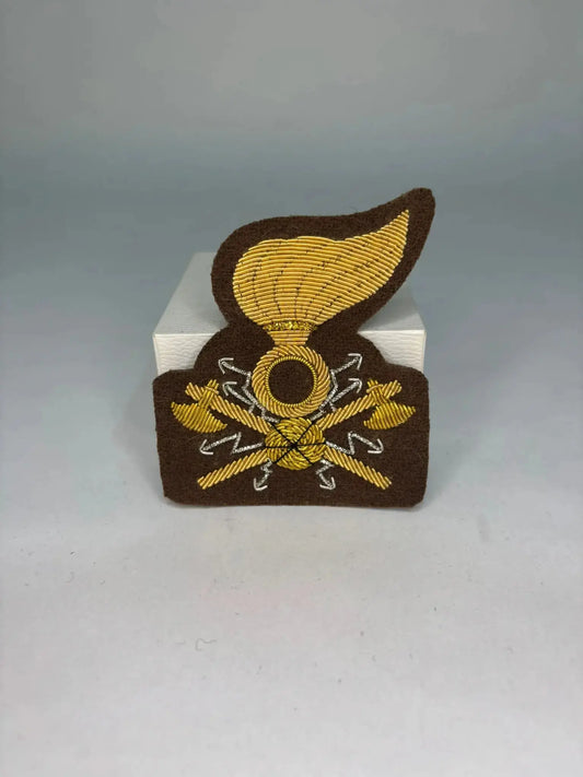 Fregio Ricamato da Tesa Trasmissioni DMC Military