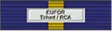 Nastrino commemorativo  EU Operazione EUFOR Tchacd/RCA in CIAD.